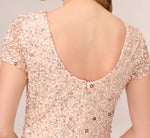 Scoop Back Sequin Gown In Blush 4