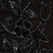 {colorName=>BLACK GUNMETAL